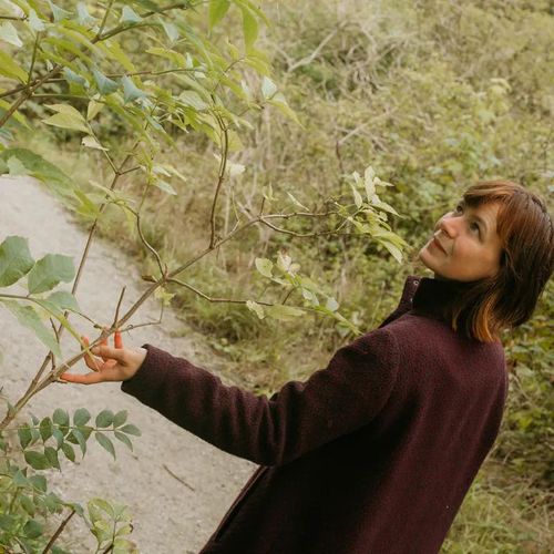 Mini safari about elderflower ”A sweet plant full of stories”