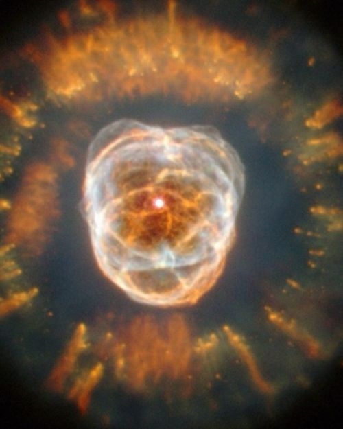 Science & Cocktails: Emergence, Cosmic Origins and Collective Patterns