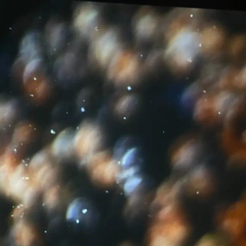 All tidied up: about worms and other weirdos after death.