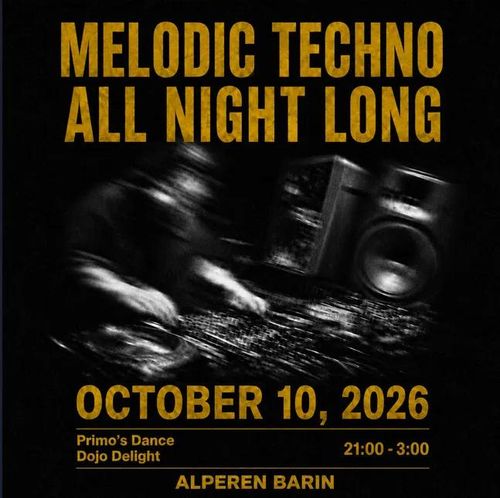Melodic Techno All Night Long