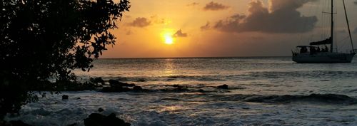 The Roots That Connect Us