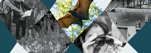 BioBlitz: Speuren in het donker