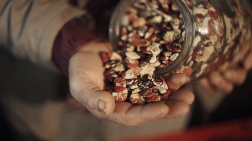 🎬 Brazil Unfiltered: Mãos à Terra (2025) + special event in collaboration with Cityplot