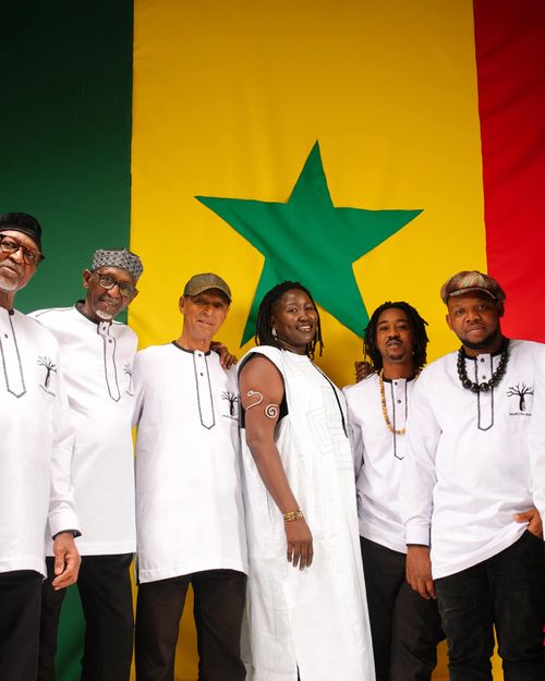 Orchestra Baobab