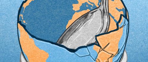 Follow The Money: De schimmige wereld van de wereldwijde voedselhandel