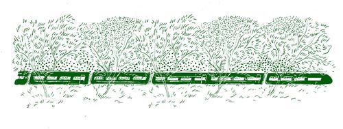 The Green Train with European Sleeper