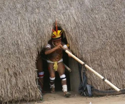 Saberes do Povo Kamayurá Meeting with the indigenous People from Alto Xingu Amazon