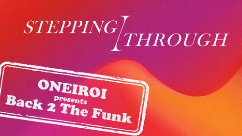Stepping Through - Back 2 The Funk