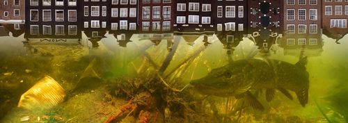 De stad onder de waterspiegel