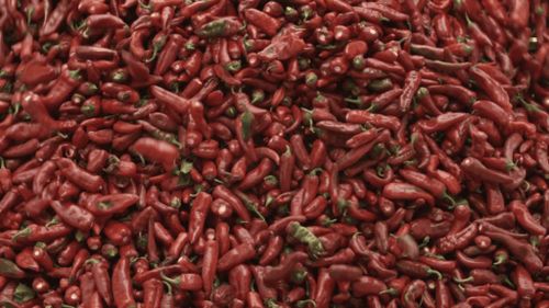 CinéDialoog: Tomato, Pepper, Depression