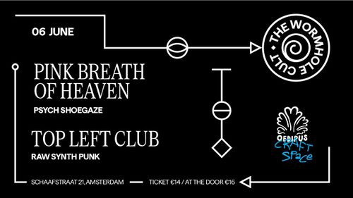 PINK BREATH OF HEAVEN & THE TOP LEFT CLUB - THE WORMHOLE CULT