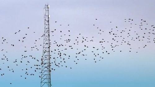 From 5G to 6G: What's in it for us?