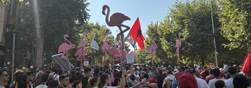 The Flamingo Revolution