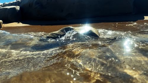 Atlantidas