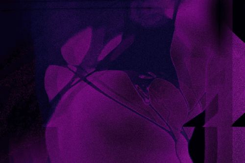 GIRLAXY (Women +)