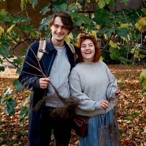 Gezonde Stad – Free trees for Amsterdam