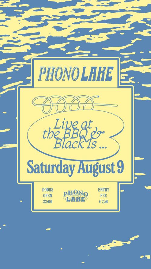 Phono Lake with Live At The BBQ & Black is