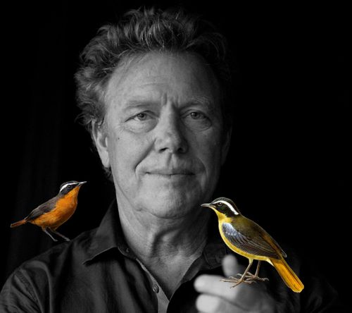 Van kanariepiet tot kettingzaag