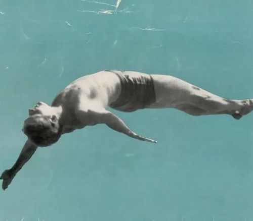 New Year’s Dive: WINTERDIP