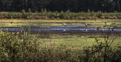 Wat is natuur nog in de Lage Landen?