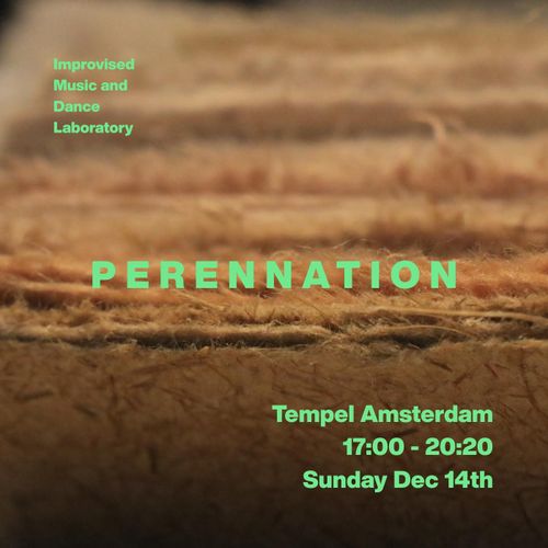 IMDL 2025 Finale : Perennation