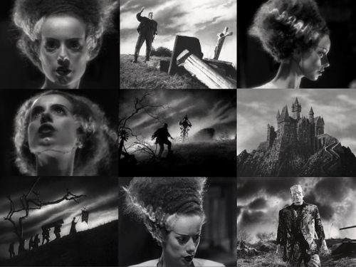 MOONS OF CAVIA outdoor cinema 📽 Bride of Frankenstein (1935) on 16mm