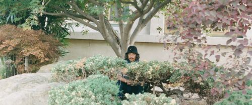 Drugdealer