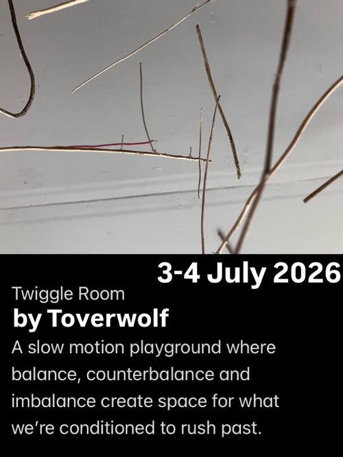 Twiggle Room: a slow motion playground