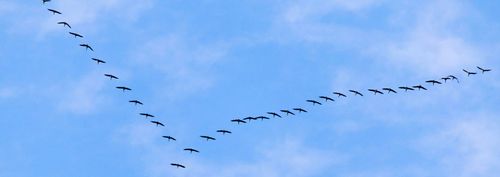 Een vlucht naar voren