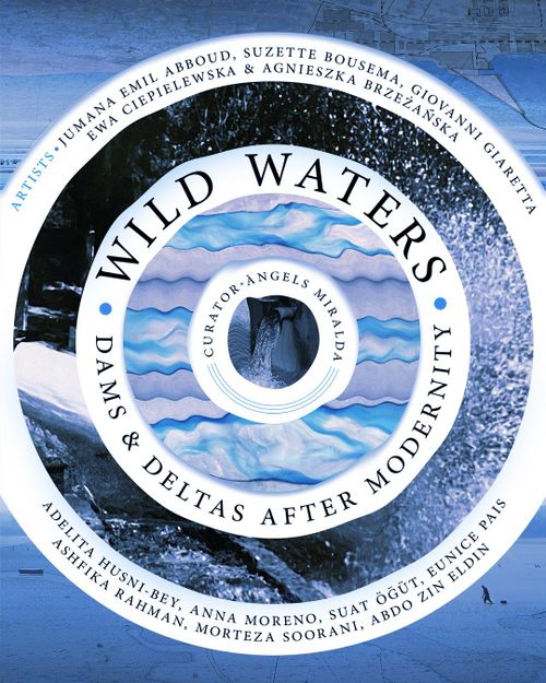 Opening Wild Waters: Dams And Deltas After Modernity