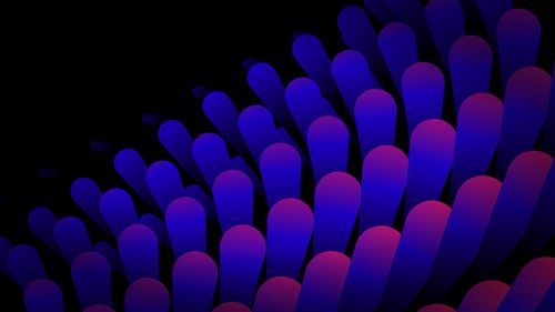 Doka Studio w/ Jannah | Razzmic | Adriana Lucid