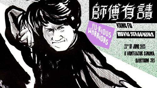 Fu-rious Warriors II: Drunken Master II (1994)