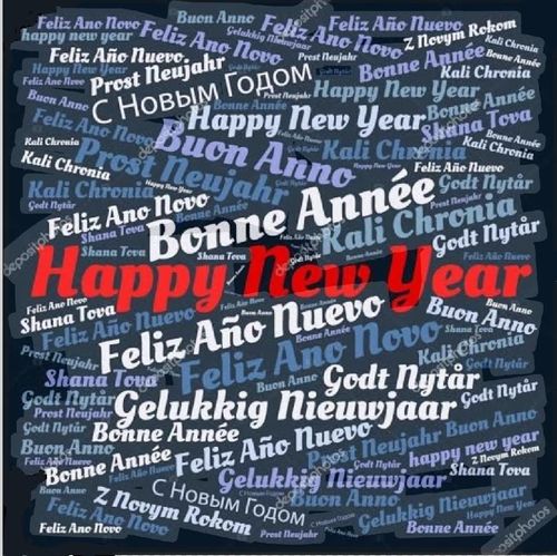 Happy New Year Party (NL)