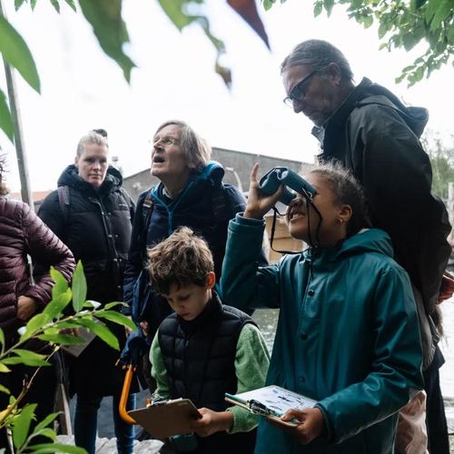 Mini safari about birds: “Looking with your ears”