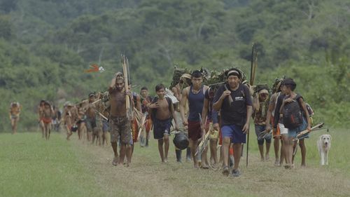 🎬 Brazil Unfiltered: A Queda do Céu (2024)