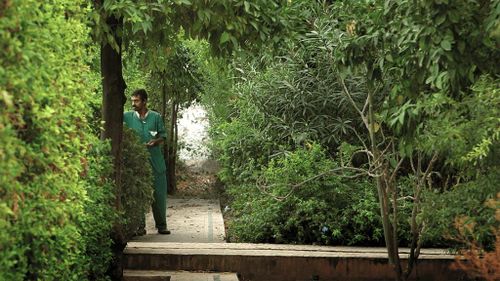 CinéDialoog: Gardens of Fez