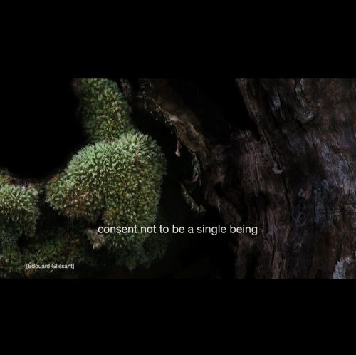 weaving stories #2: Co-creating conditions of possibilities at the end of the world as we know