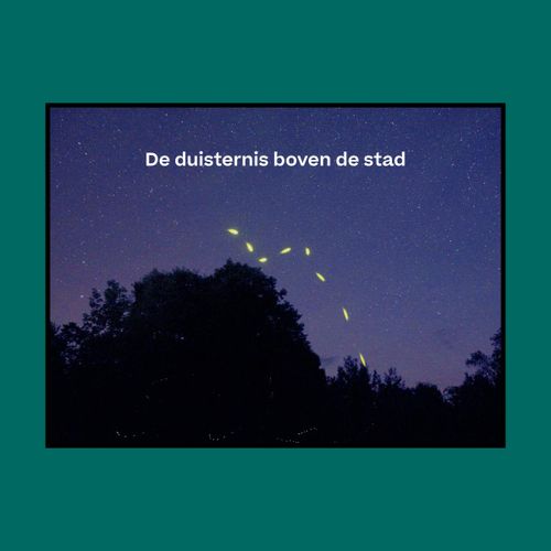 De duisternis boven de stad
