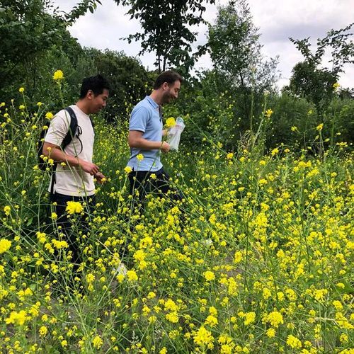 Foraging Expedition 08/03