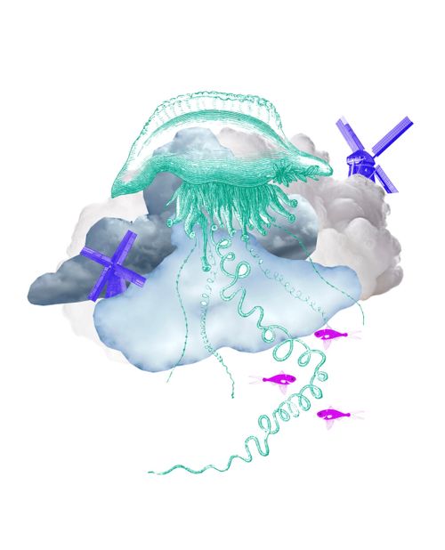 Open Book: Breath & Breeze