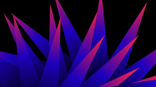 D.E.L.S. w/ Mozes Meijer | Julien Chaptal