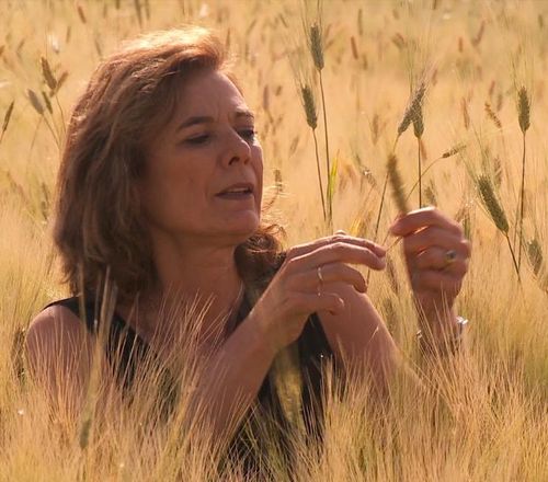 BACKUP.VAVILOV- Discussion with Professor Louise O Fresco on her fascination with Vavilov.