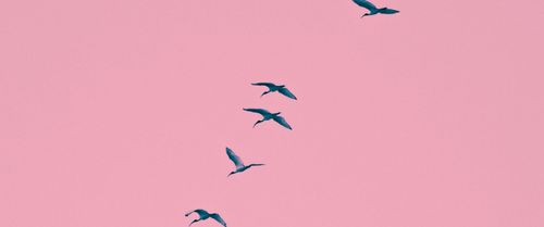 Celebrate Refugee Resilience Together
