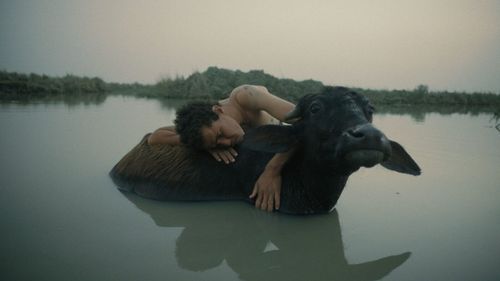 Sprouts Film Festival: Aquatic Short Stories