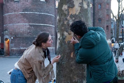 Join Waag on a plane tree expedition