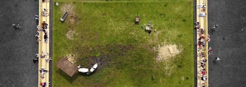 Pasture with cows