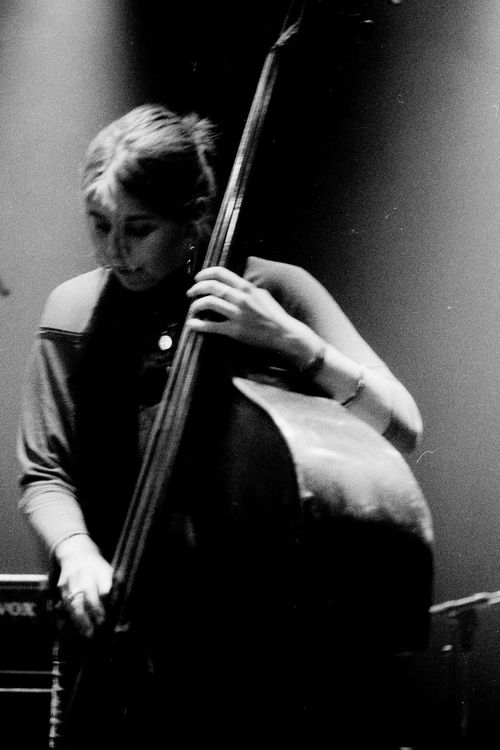 Veerle van der Wal trio