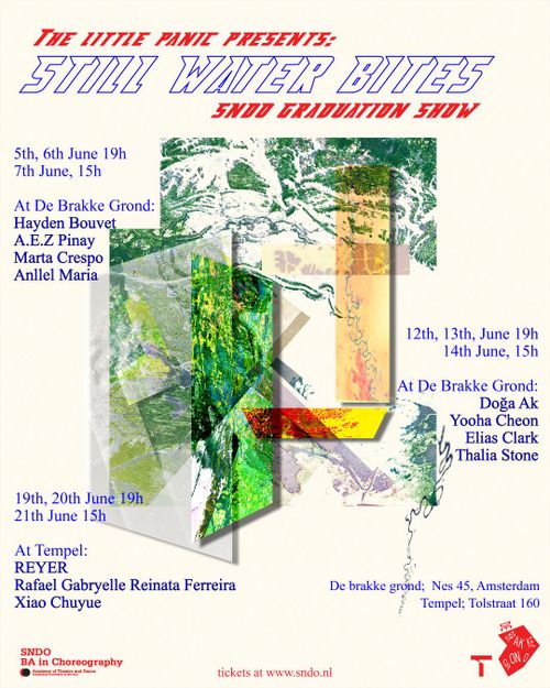 SNDO Graduation Works 2026, The Little Panic presents STILL WATER BITES
