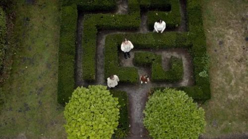 CinéDialoog: Otets