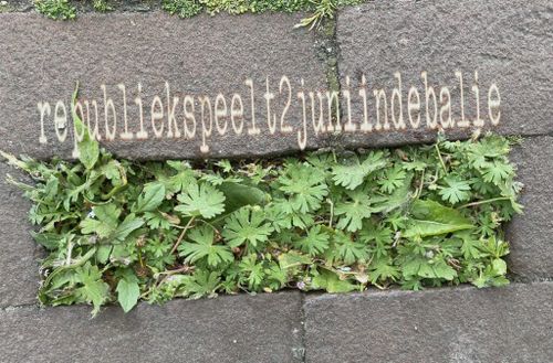 De Republiek